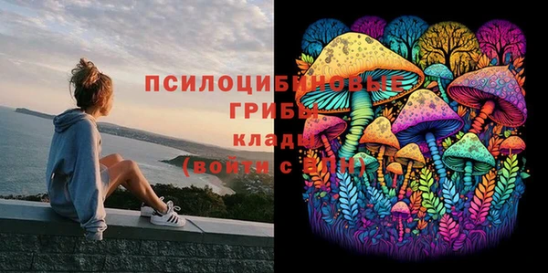 бутик Снежногорск