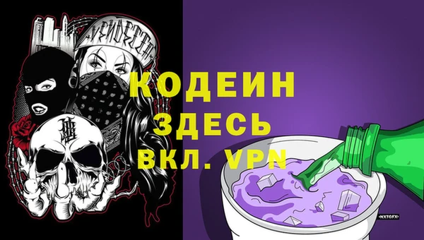 твердый Снежинск