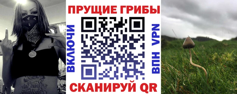 Псилоцибиновые грибы MAGIC MUSHROOMS Новосиль